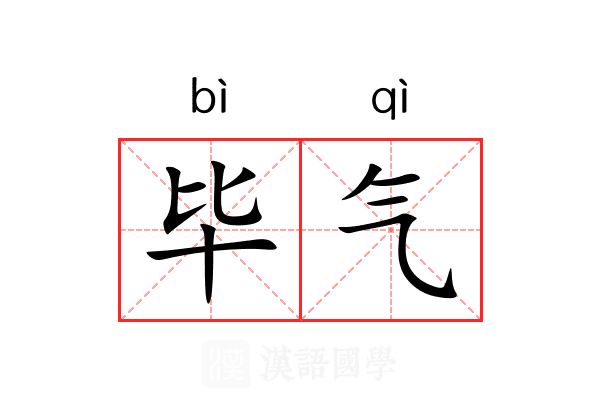 毕气
