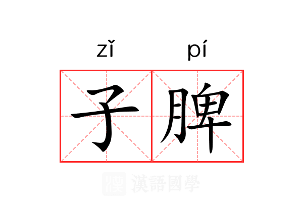 子脾