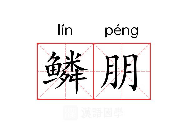 鳞朋 鳞朋