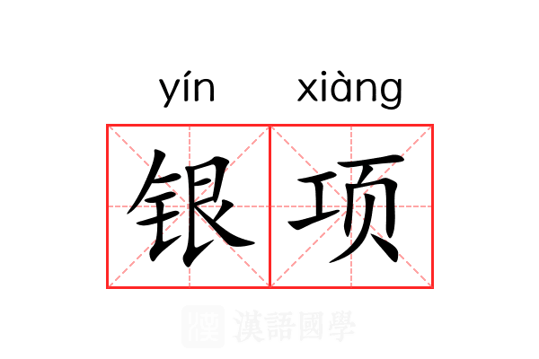 银项 银项