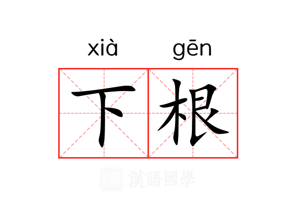 下根