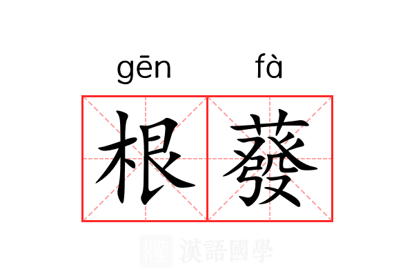 根蕟 根蕟
