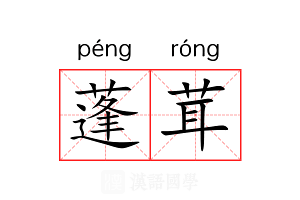蓬茸