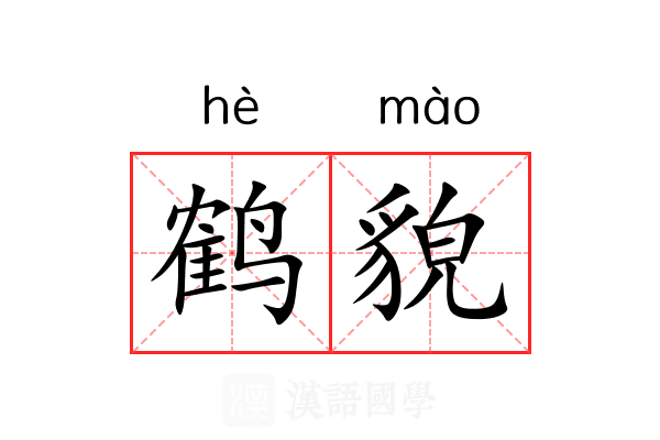 鹤貌
