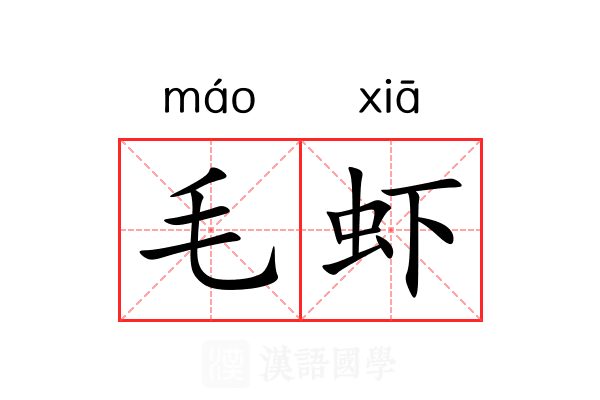 毛虾