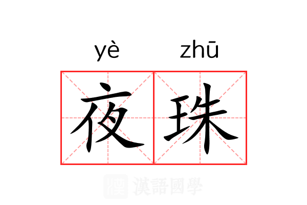 夜珠 夜珠