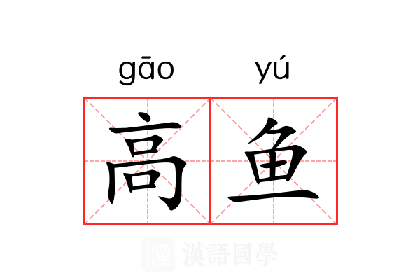 高鱼 高鱼