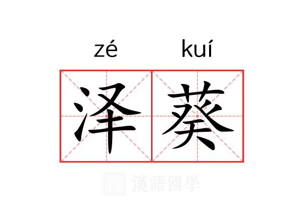 泽葵