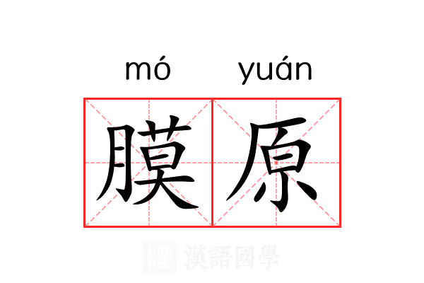 膜原