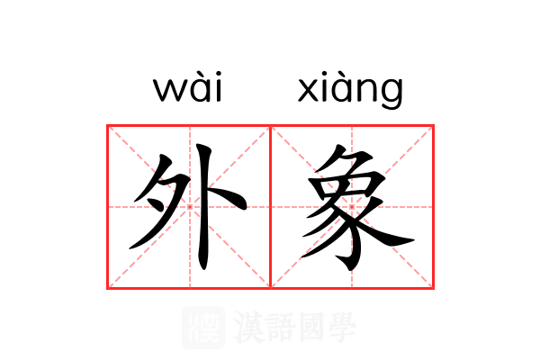 外象