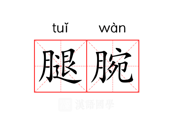 腿腕