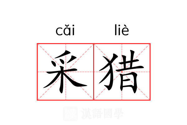 采猎