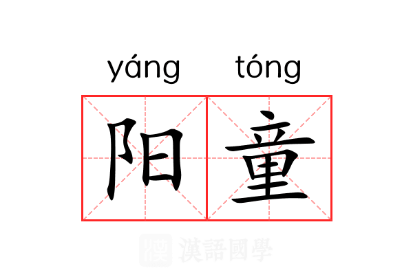 阳童 阳童