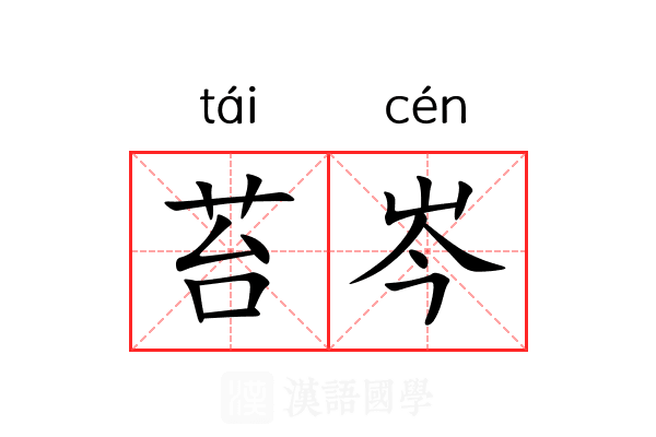 苔岑