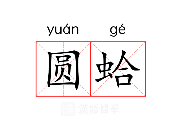 圆蛤