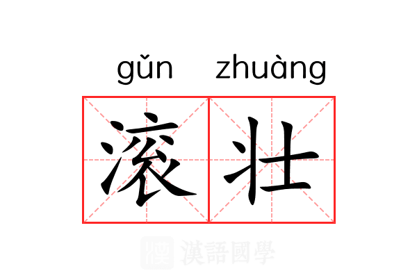 滚壮 滚壮