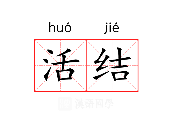 活结
