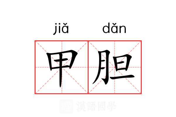 甲胆 甲胆