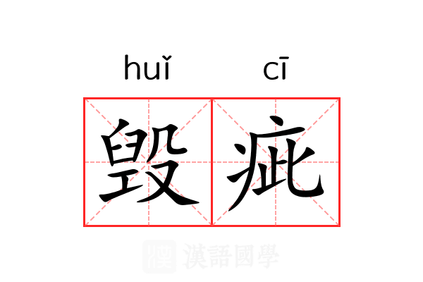 毁疵