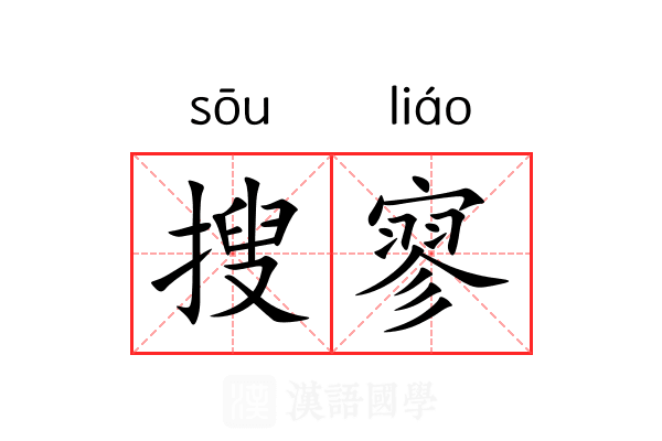 搜寥