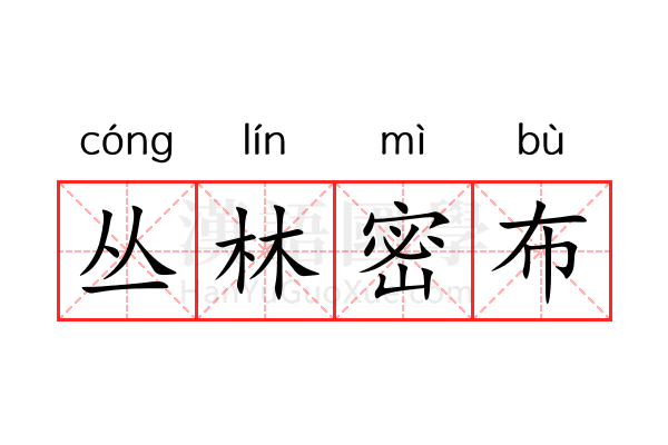 丛林密布 丛林密布