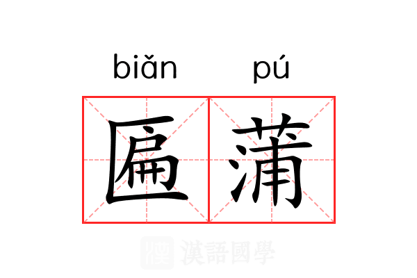 匾蒲