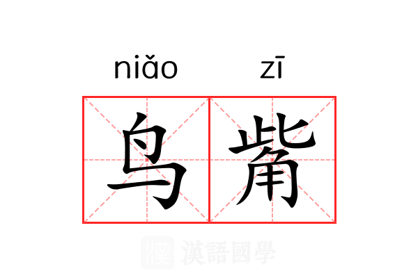 鸟觜