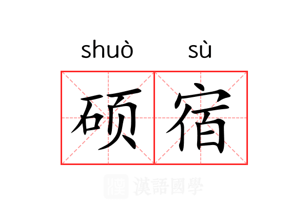 硕宿 硕宿