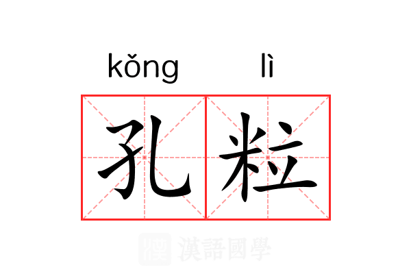 孔粒