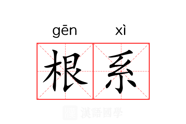 根系