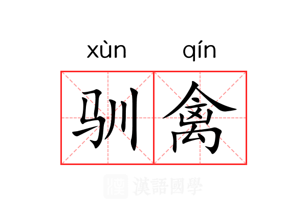 驯禽