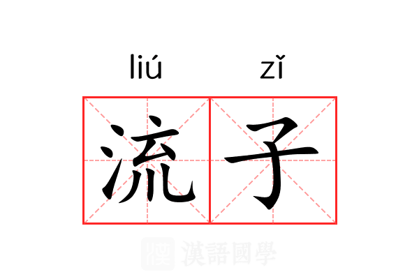 流子 流子
