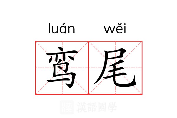鸾尾 鸾尾