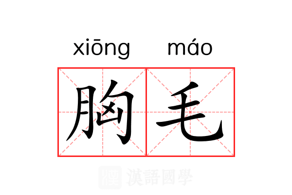 胸毛 胸毛