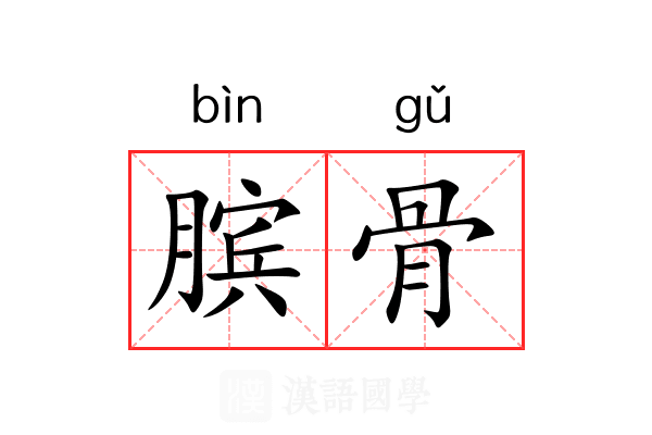 膑骨 膑骨