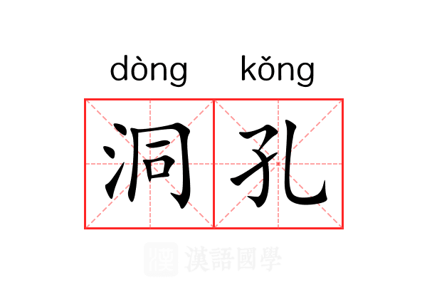 洞孔