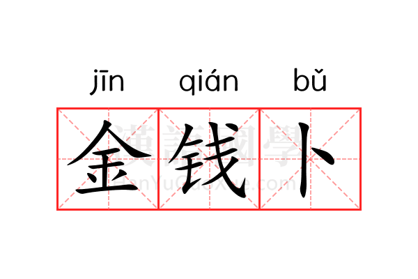 金钱卜 金钱卜