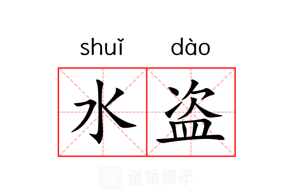 水盗