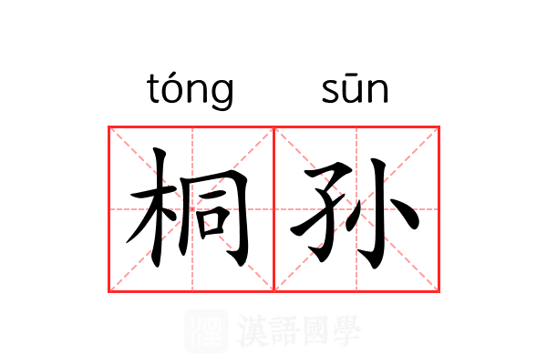 桐孙 桐孙