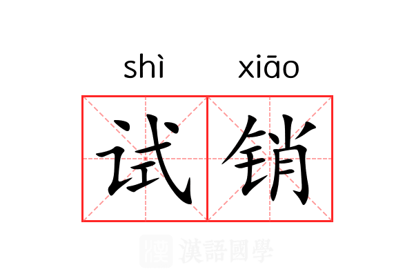试销