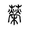 𦾵 𦾵