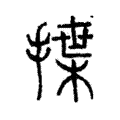 揲 揲