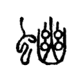 𧍘 𧍘