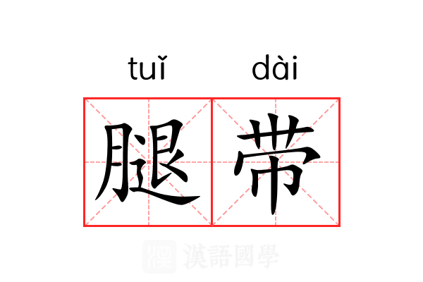 腿带 腿带