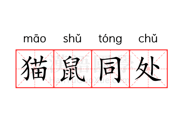 猫鼠同处 猫鼠同处