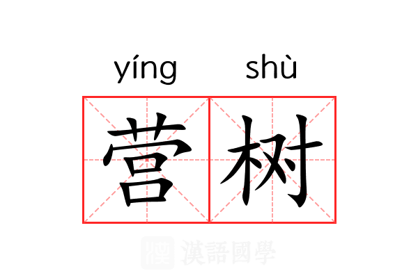 营树 营树