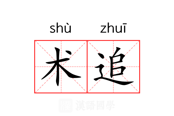 术追 术追