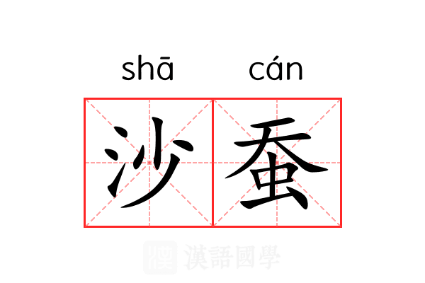 沙蚕