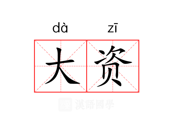 大资 大资