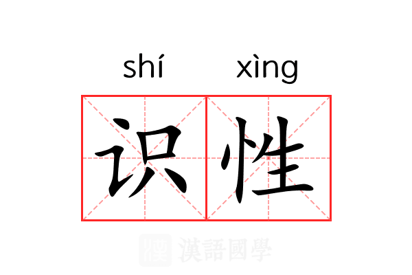 识性